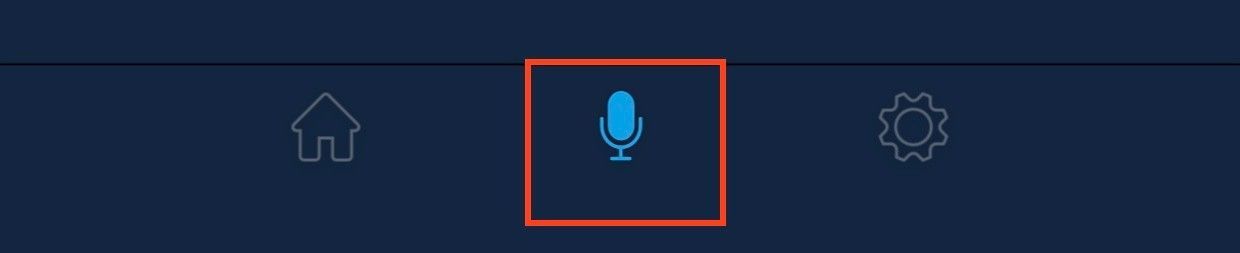 Mic_icon.jpg